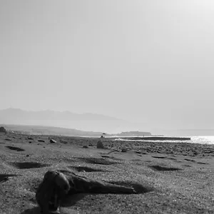 Appartamento El Mar